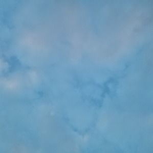 Meet your Posher, Asher